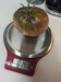 Altitude (to)maters (Scott)