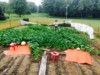 Frosty1223